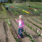 Arī mazmeitiņai patīk puķes!