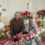 Ēvalds Paupers un Jānis Dukaļskis pie sava stenda tulpju izstādē Dabas muzejā 2011. gadā.