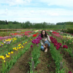Agnese tulpju laukā