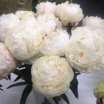 Colonel Owen Cousins