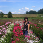 Flokšu laukā, 2014.