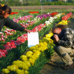 Foto priekš kataloga