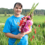 Gladiolas skolai