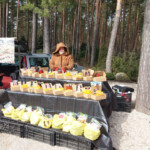 Izbraukuma tirdzniecība Baltezerā 2016.g.