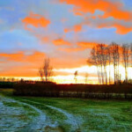 Janvāra novakare Daugmalē 5.janv.2020.g.