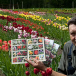 Kataloga prezentācija 2011.g.