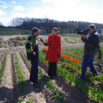 LNT televīzija 2010.g.