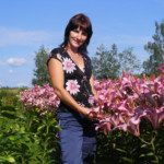 Liliju laukā