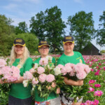 Mani čaklie palīgi