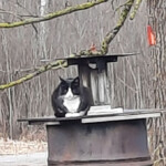 Mikis 16.marts 2021.g.