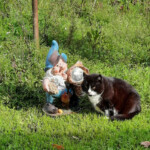 Mincene 25.sept. 2021.g.