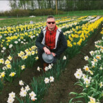 Narcises smaržo un zied