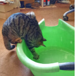 Pasaules izzināšana 2.nov.2021.g.