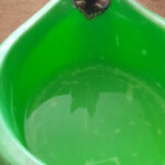 Pasaules izzināšana