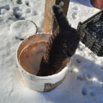 Pasaules izzināšana