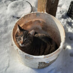 Pasaules izzināšana