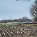 Pēc Ziemassvētku egīitēm 18.dec.2021.g.