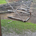 Pēc vētras Daugmalē 03.05.2021.g.