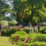 Peoniju svētki Daugmalē