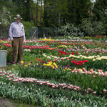 Pie Ēvalda Paupera 13.05.2010.g.