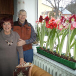 Pie Ēvalda Paupera 1.02.2014.g