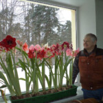 Pie Ēvalda Paupera 1.02.2014.g