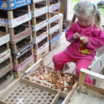 Pirmās iemaņas 2012