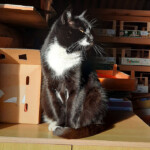 Princese sauļojas 6.nov. 2020.g.