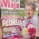 Publikācijas žurnālos