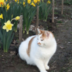 Punktiņš 28.apr. 2012.g.