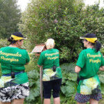 Putnu dārzā pavasarī