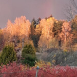 Rudens ir klāt 18.okt.2021.g.