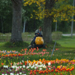 Saimniecībā darbu daudz