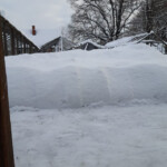 Sniega gūstā 31.01.2021.g.