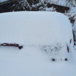 Sniega gūstā 31.01.2021.g.3