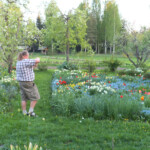 Stādaudzetavā Igaunijā