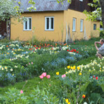 Stādaudzetavā Igaunijā 17.05.2013.g.