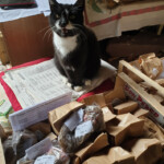 Tā Princese mums palīdz