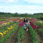 Tulpju laukā 2011.g.