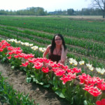 Zied agrās tulpes