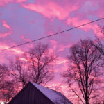 Ziemas rīts 12.janv. 2022.g.