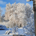 Ziemas rīts 6.dec.