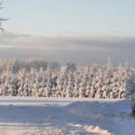 Ziemas rīts 6.dec 2021.g.