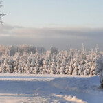 Ziemas rīts 6.dec 2021.g.