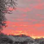 Ziemas rīts 8.dec. 2021.g.