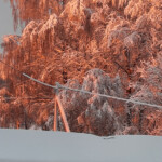 Ziemas rīts 8.dec.2021.g.