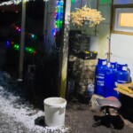 Ziemassvētki klāt 24.12.2020.g.