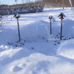 Brokastu laiks ir klāt 31.janv. 2021.g.