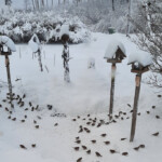 Brokastu laiks ir klāt 5.dec.2021.g.