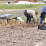 Sestdienas talka Daugmalē